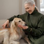 pet planning, pet trust