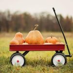 Pumpkin Kisses and Harvest Wishes (1)