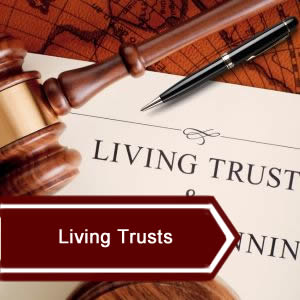 Living Trust Videos